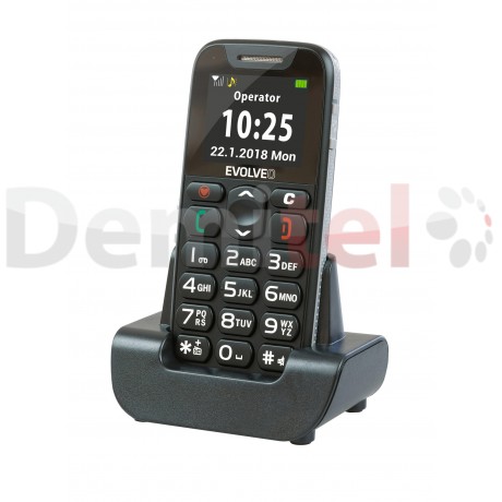 Мобилен телефон EVOLVEO EasyPhone Черен